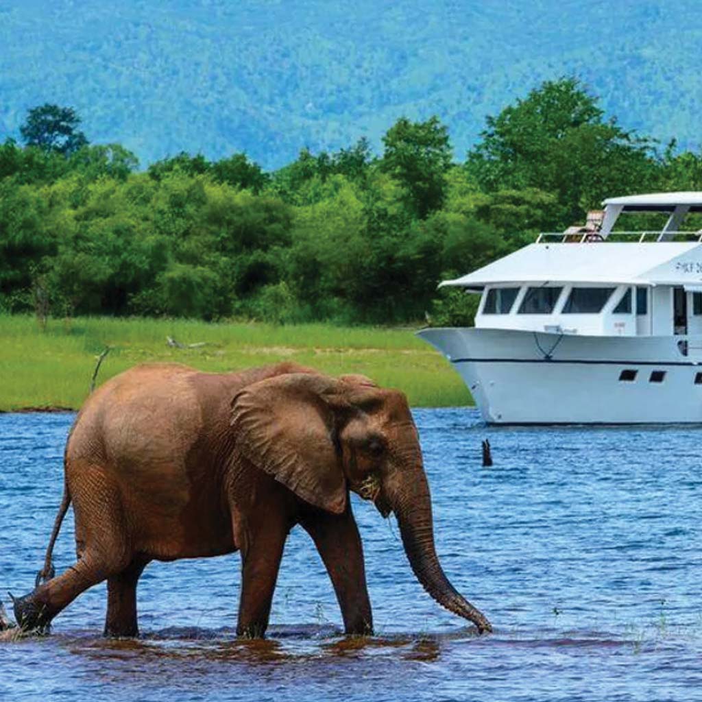 House Boats in Lake Kariba