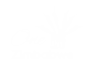 One Zimbabwe Logo