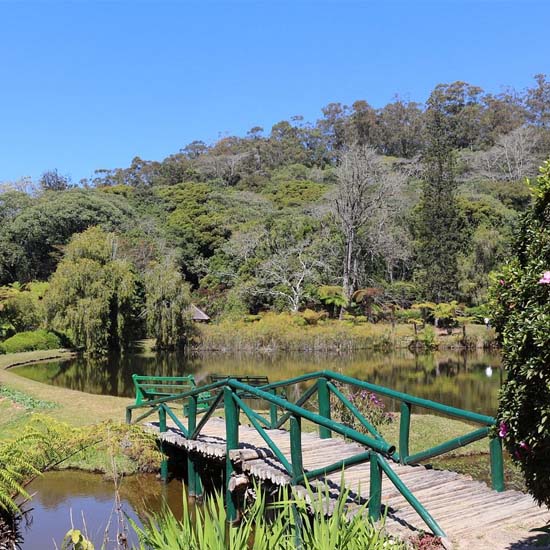 Vumba Botanical Gardens