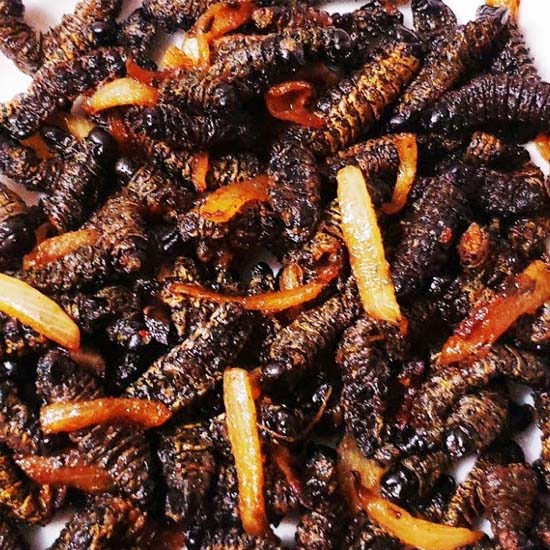 Mopnane Worms or amacimbi